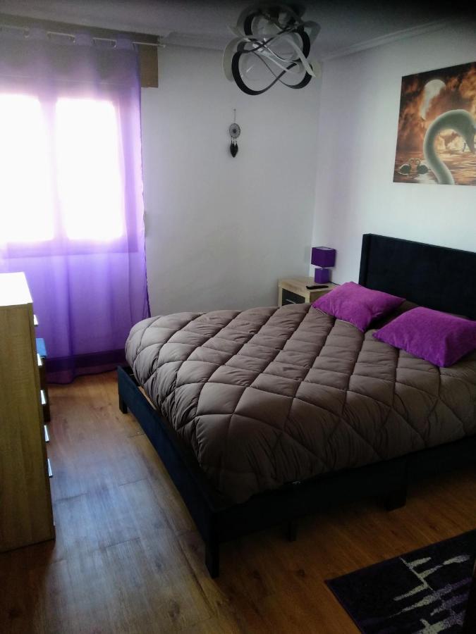 Apartamento Vivienda Uso Turistico El Vie Villarcayo Exterior foto